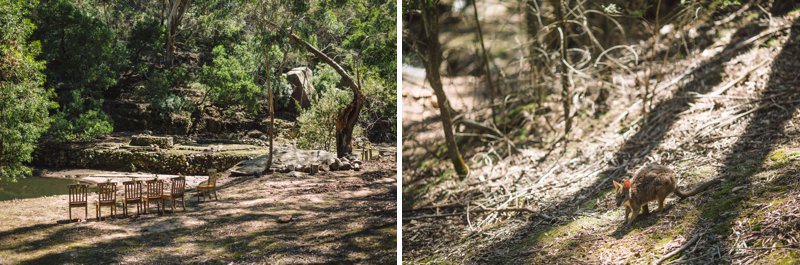 140309,9th of March,Afternoon Light,Animals,Australia,Australian Bush,Autumn,Autumn Wedding,Blue Mountains,Blue Mountains Wedding,Bush Retreat,Bush Wedding,Candid,Fun,Great Diving Range,I Frame People,Imaginative,Intimate,JCP,Jack Chauvel,Jack Chauvel Photography,Katie & Martin,Lithgow Wedding,March,March 2014,Natural Light,Photographer,Photography,Relaxed,Rural,Secret Creek,Sydney,Wedding Photography,Wildlife Sanctuary,https://www.jackchauvel.com.au, Katie & Martin Lithgow Wedding_0057.jpg