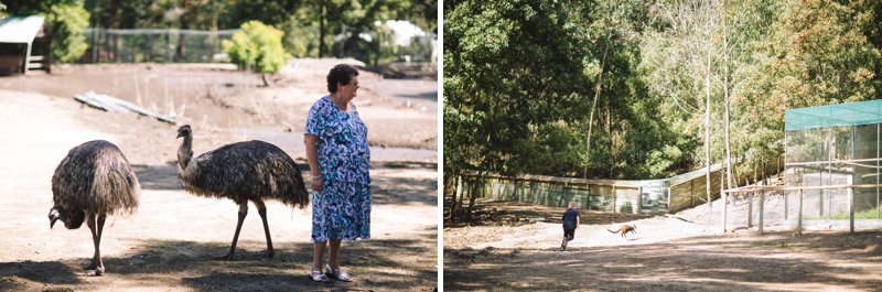 140309,9th of March,Afternoon Light,Animals,Australia,Australian Bush,Autumn,Autumn Wedding,Blue Mountains,Blue Mountains Wedding,Bush Retreat,Bush Wedding,Candid,Fun,Great Diving Range,I Frame People,Imaginative,Intimate,JCP,Jack Chauvel,Jack Chauvel Photography,Katie & Martin,Lithgow Wedding,March,March 2014,Natural Light,Photographer,Photography,Relaxed,Rural,Secret Creek,Sydney,Wedding Photography,Wildlife Sanctuary,https://www.jackchauvel.com.au, Katie & Martin Lithgow Wedding_0088.jpg