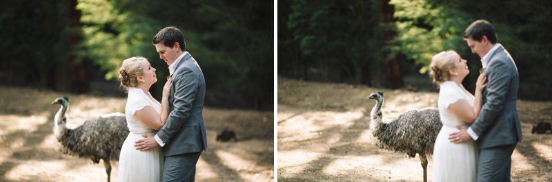 140309,9th of March,Afternoon Light,Animals,Australia,Australian Bush,Autumn,Autumn Wedding,Blue Mountains,Blue Mountains Wedding,Bush Retreat,Bush Wedding,Candid,Fun,Great Diving Range,I Frame People,Imaginative,Intimate,JCP,Jack Chauvel,Jack Chauvel Photography,Katie & Martin,Lithgow Wedding,March,March 2014,Natural Light,Photographer,Photography,Relaxed,Rural,Secret Creek,Sydney,Wedding Photography,Wildlife Sanctuary,https://www.jackchauvel.com.au, Katie & Martin Lithgow Wedding_0126.jpg