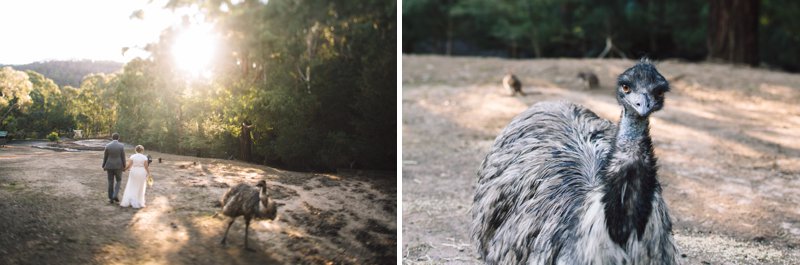 140309,9th of March,Afternoon Light,Animals,Australia,Australian Bush,Autumn,Autumn Wedding,Blue Mountains,Blue Mountains Wedding,Bush Retreat,Bush Wedding,Candid,Fun,Great Diving Range,I Frame People,Imaginative,Intimate,JCP,Jack Chauvel,Jack Chauvel Photography,Katie & Martin,Lithgow Wedding,March,March 2014,Natural Light,Photographer,Photography,Relaxed,Rural,Secret Creek,Sydney,Wedding Photography,Wildlife Sanctuary,https://www.jackchauvel.com.au, Katie & Martin Lithgow Wedding_0130.jpg